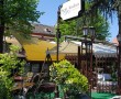 Restoran Stara Sent Andrea, restorani Beograd, sveza recna riba