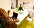 ComputerLand, racunari i oprema i softver Beograd, oprema za racunare