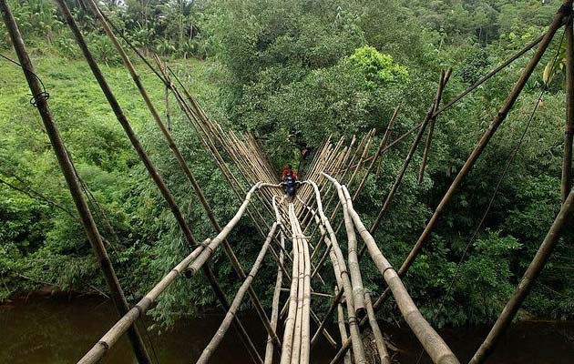 borneo-most
