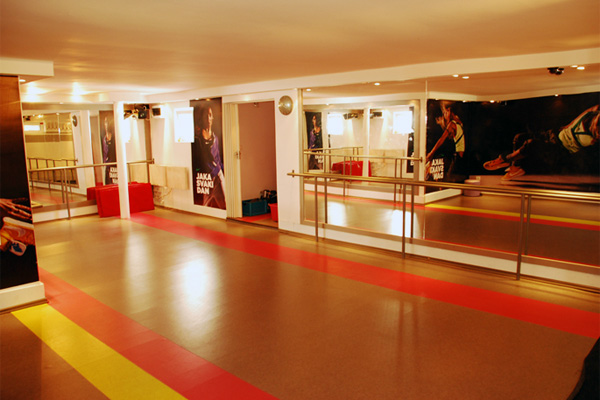 Top Form fitness centar, teretane-fitness centri Beograd, fitnes klub Bezanija