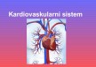 anatomija-kardiovaskularni-sistem-1