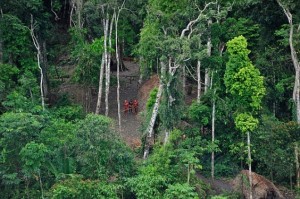 ugrozena-turisticka-mesta-amazonska-prasuma